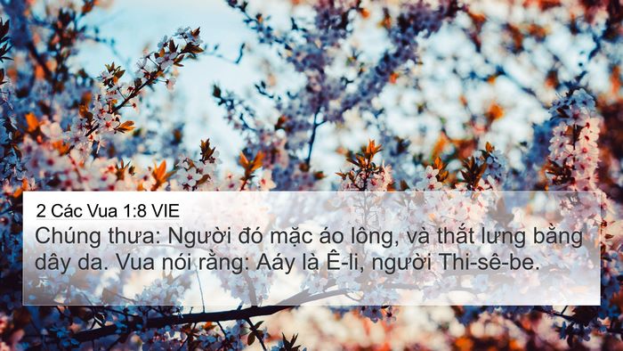 2 Các Vua 1:8 VIE Bible Verse Image