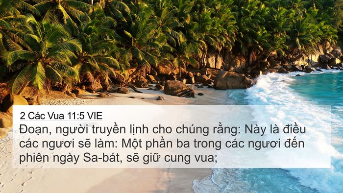 2 Các Vua 11:5 VIE Bible Verse Image