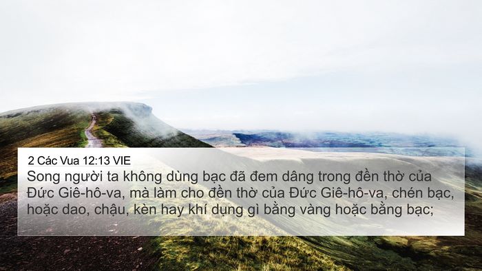 2 Các Vua 12:13 VIE Bible Verse Image