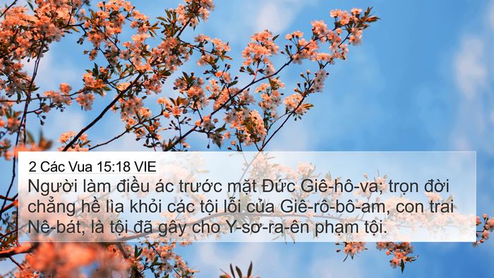 2 Các Vua 15:18 VIE Bible Verse Image
