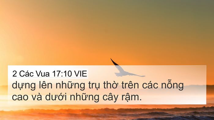 2 Các Vua 17:10 VIE 4K Wallpaper - dựng lên những trụ thờ trên các nỗng - 4K Wallpaper Bible Verse