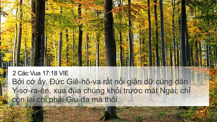 2 Các Vua 17:18 VIE Bible Verse Image
