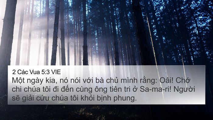 2 Các Vua 5:3 VIE Bible Verse Image