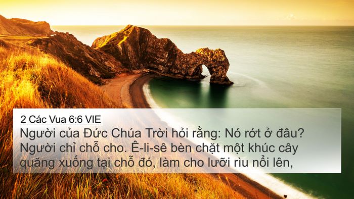 2 Các Vua 6:6 VIE Bible Verse Image