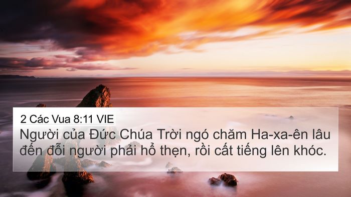 2 Các Vua 8:11 VIE Bible Verse Image