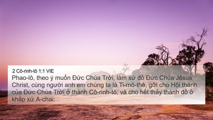 2 Cô-rinh-tô 1:1 VIE Bible Verse Image
