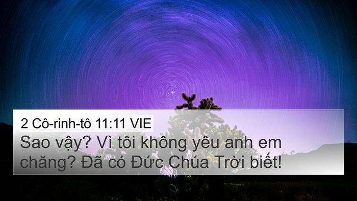 2 Cô-rinh-tô 11:11 VIE Bible Verse Image