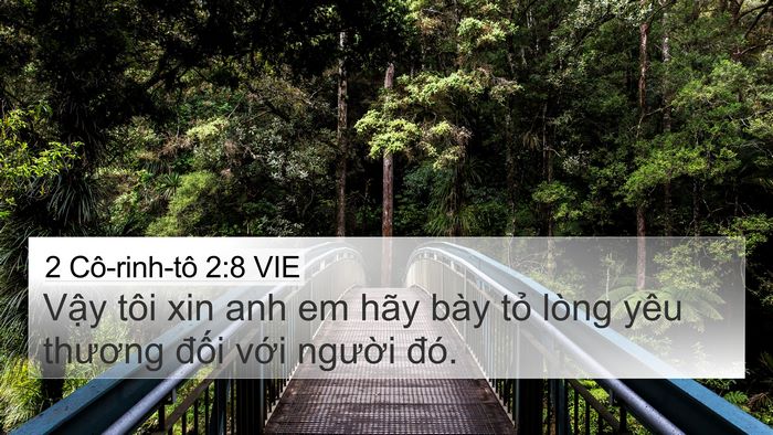 2 Cô-rinh-tô 2:8 VIE 4K Wallpaper - Vậy tôi xin anh em hãy bày tỏ lòng yêu - 4K Wallpaper Bible Verse