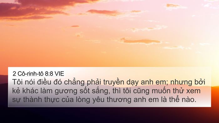 2 Cô-rinh-tô 8:8 VIE Bible Verse Image