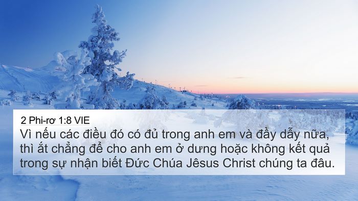 2 Phi-rơ 1:8 VIE Bible Verse Image