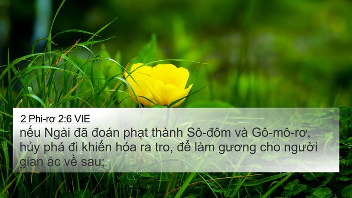 2 Phi-rơ 2:6 VIE Bible Verse Image