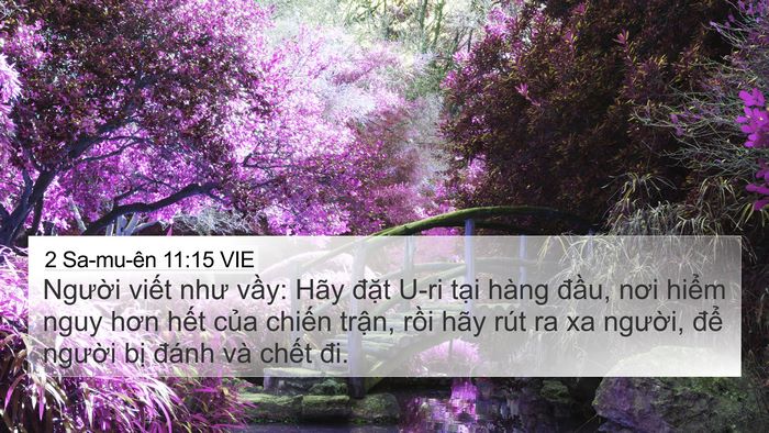 2 Sa-mu-ên 11:15 VIE Bible Verse Image