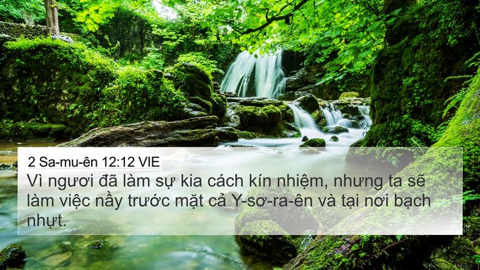 2 Sa-mu-ên 12:12 VIE Bible Verse Image