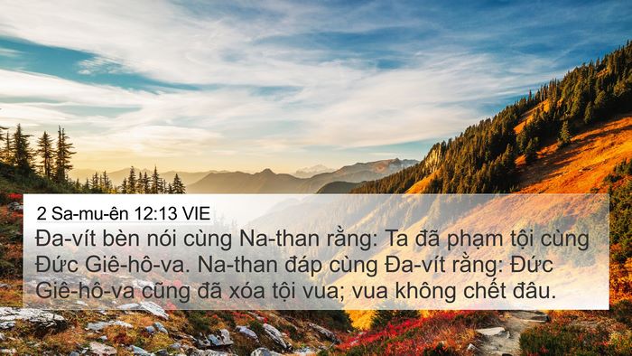 2 Sa-mu-ên 12:13 VIE Bible Verse Image