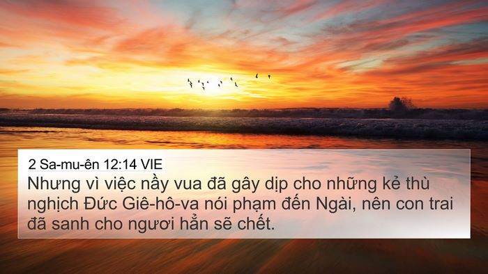 2 Sa-mu-ên 12:14 VIE Bible Verse Image