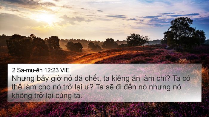 2 Sa-mu-ên 12:23 VIE Bible Verse Image