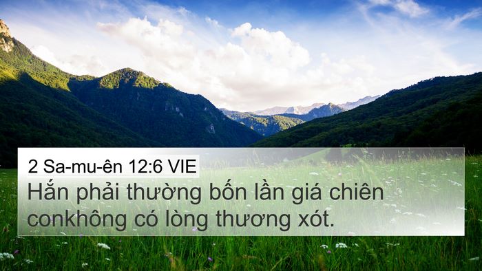 2 Sa-mu-ên 12:6 VIE Bible Verse Image