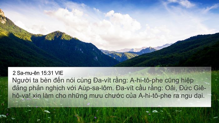 2 Sa-mu-ên 15:31 VIE Bible Verse Image