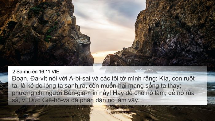 2 Sa-mu-ên 16:11 VIE Bible Verse Image