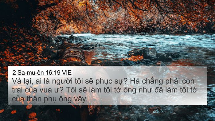 2 Sa-mu-ên 16:19 VIE 4K Wallpaper - Vả lại, ai là người tôi sẽ phục - 4K Wallpaper Bible Verse