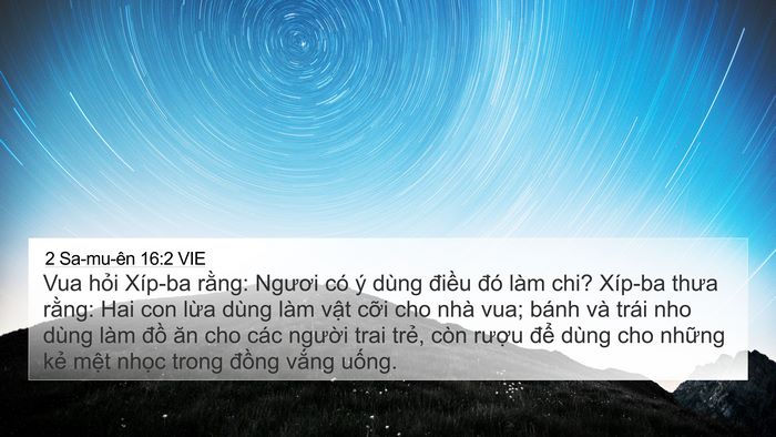 2 Sa-mu-ên 16:2 VIE 4K Wallpaper - Vua hỏi Xíp-ba rằng: Ngươi có ý dùng - 4K Wallpaper Bible Verse