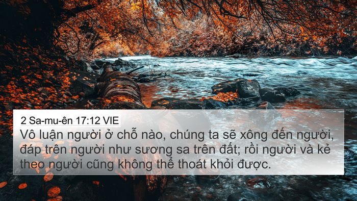 2 Sa-mu-ên 17:12 VIE 4K Wallpaper - Vô luận người ở chỗ nào, chúng ta - 4K Wallpaper Bible Verse