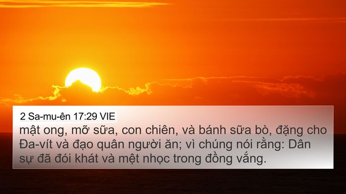 2 Sa-mu-ên 17:29 VIE Bible Verse Image