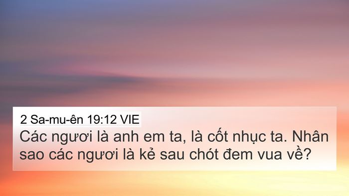 2 Sa-mu-ên 19:12 VIE 4K Wallpaper - Các ngươi là anh em ta, là cốt nhục ta. - 4K Wallpaper Bible Verse