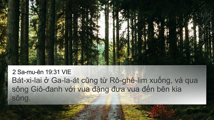 2 Sa-mu-ên 19:31 VIE Bible Verse Image