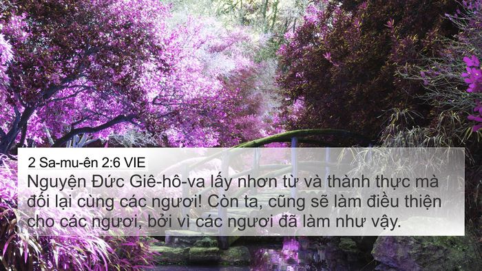 2 Sa-mu-ên 2:6 VIE 4K Wallpaper - Nguyện Đức Giê-hô-va lấy nhơn từ và - 4K Wallpaper Bible Verse