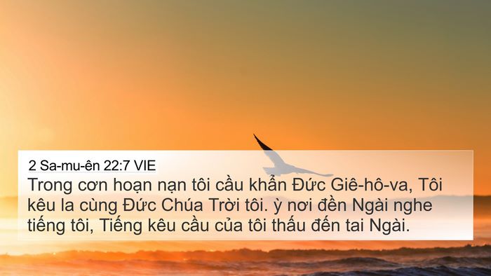 2 Sa-mu-ên 22:7 VIE 4K Wallpaper - Trong cơn hoạn nạn tôi cầu khẩn Đức - 4K Wallpaper Bible Verse