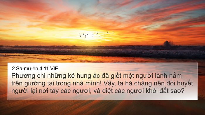 2 Sa-mu-ên 4:11 VIE 4K Wallpaper - Phương chi những kẻ hung ác đã giết - 4K Wallpaper Bible Verse
