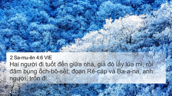 2 Sa-mu-ên 4:6 VIE 4K Wallpaper - Hai người đi tuốt đến giữa nhà, giả - 4K Wallpaper Bible Verse