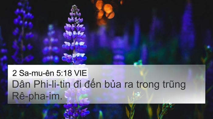 2 Sa-mu-ên 5:18 VIE Bible Verse Image