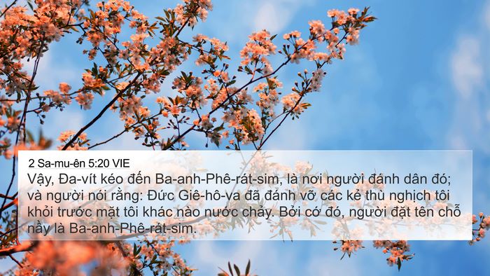2 Sa-mu-ên 5:20 VIE Bible Verse Image
