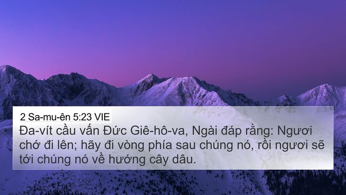 2 Sa-mu-ên 5:23 VIE Bible Verse Image