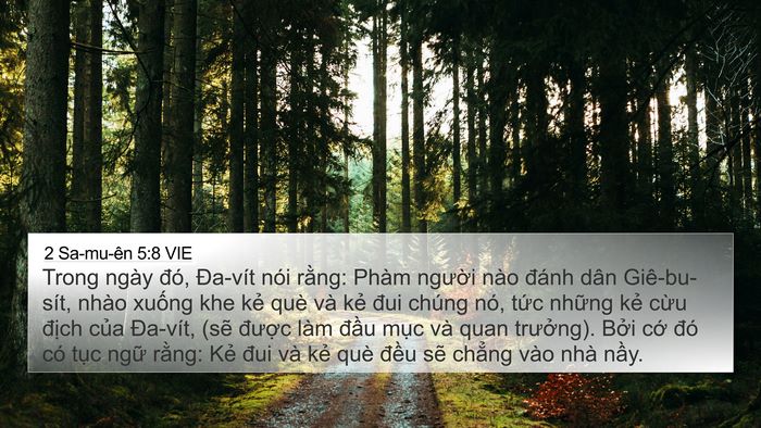 2 Sa-mu-ên 5:8 VIE Bible Verse Image