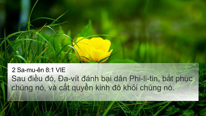 2 Sa-mu-ên 8:1 VIE Bible Verse Image