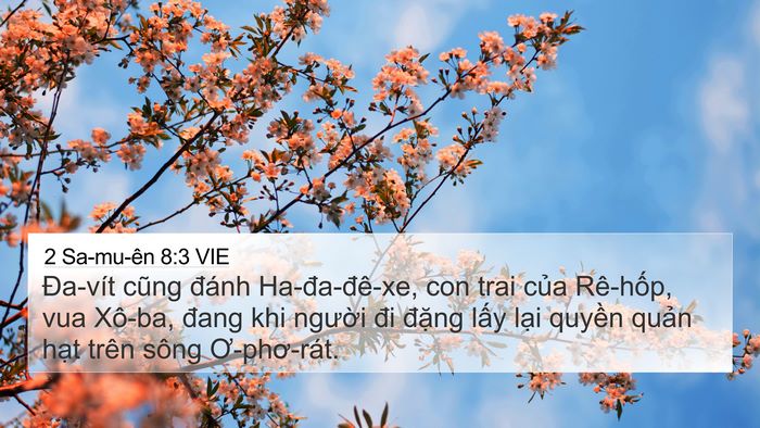 2 Sa-mu-ên 8:3 VIE Bible Verse Image