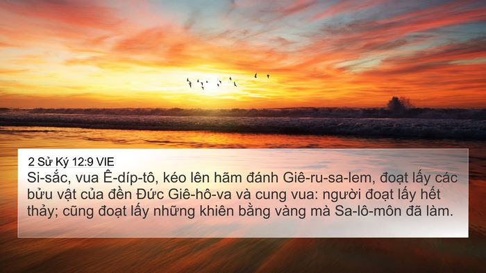 2 Sử Ký 12:9 VIE Bible Verse Image