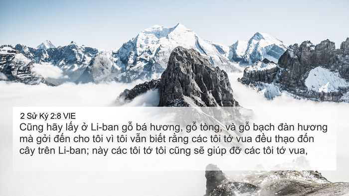 2 Sử Ký 2:8 VIE Bible Verse Image