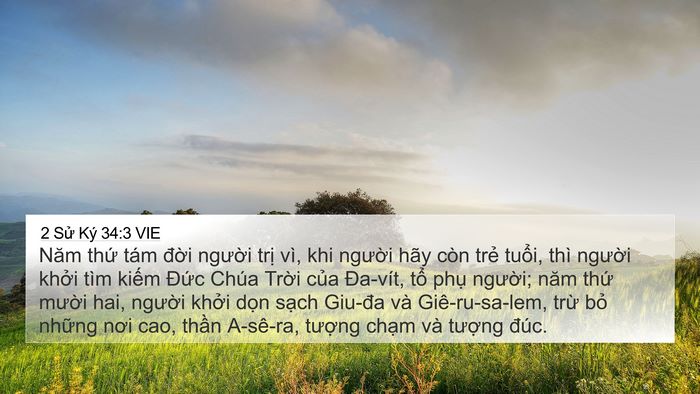 2 Sử Ký 34:3 VIE Bible Verse Image
