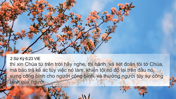 2 Sử Ký 6:23 VIE Bible Verse Image