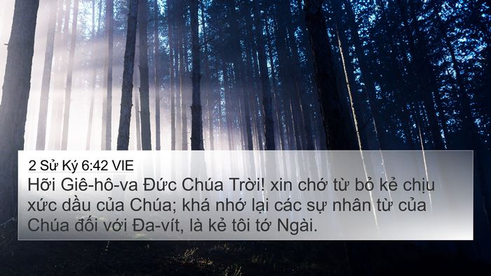 2 Sử Ký 6:42 VIE 4K Wallpaper - Hỡi Giê-hô-va Đức Chúa Trời! xin chớ - 4K Wallpaper Bible Verse