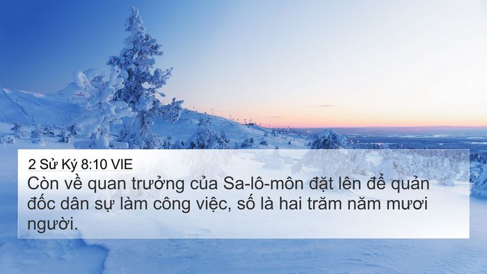 2 Sử Ký 8:10 VIE 4K Wallpaper - Còn về quan trưởng của Sa-lô-môn đặt - 4K Wallpaper Bible Verse