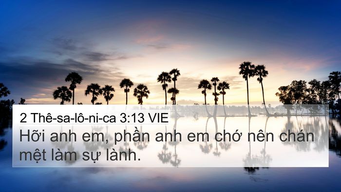 2 Thê-sa-lô-ni-ca 3:13 VIE Bible Verse Image