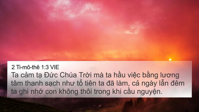2 Ti-mô-thê 1:3 VIE Bible Verse Image