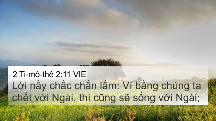 2 Ti-mô-thê 2:11 VIE Bible Verse Image