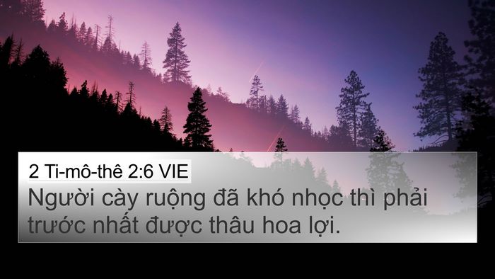 2 Ti-mô-thê 2:6 VIE Bible Verse Image