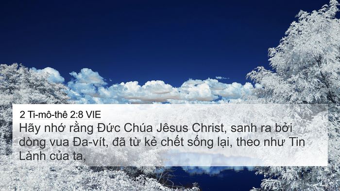 2 Ti-mô-thê 2:8 VIE 4K Wallpaper - Hãy nhớ rằng Đức Chúa Jêsus Christ, - 4K Wallpaper Bible Verse